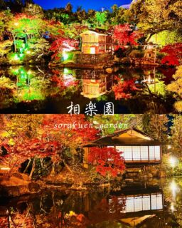 先日開催しました【夜間開園】の様子をご覧ください
2025.11/28〜11/29

日が暮れてから園内のあかりが灯り
昼間の華やかな紅葉の景色から、幻想的な雰囲気へと🤩

ライトアップの後半からは船屋形のあかりも灯り
池周辺は美しく幻想的な和の空間となりました🌟

池に映り込む紅葉が
昼間とはひと味違う景色を作り出します
船屋形周辺の紅葉した木々の中を散策すると、まさにモミジのトンネルのような光景が広がります

たった2日間の開催が惜しいと思うほどの素敵な景色でした

また来年もお楽しみに！！

#相楽園#sorakuen#日本庭園#神戸観光#紅葉
#散策#モミジ#ドウダンツツジ#船屋形#浣心亭#池
#水面にうつる紅葉の景色#紅葉ライトアップ
#紅葉スポット#秋めく相楽宴#夜間開園#神戸紅葉