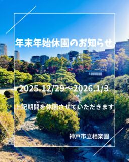 【年末年始休園のお知らせ】
2025.12/29（月）〜2026.1/3（土）
上記期間を休園させていただきます

年明けは2026.1/4（日）9:00から開園します！

【干支饅頭プレゼント】
1/4（日）.1/5（月）.1/6（火）
9:00〜
干支饅頭をお配りします
各日先着100名様（お一人様1個）
無くなり次第終了します※開園して数時間で無くなる場合もあります

【無事すぎの路】
1/4（日）〜1/12（月・祝）
※1/8（木）は休園日
今年も園路に「無事すぎの路」をおつくりします
〜新しい1年が無事に過ぎますように〜と、願いを込めてお通りください⭐️

【冬ぼたん展】
1/5（月）〜1/12（月・祝）
※1/8（木）は休園日
今年も芝生広場に色とりどりの冬ぼたんが並びます
展示のぼたんはご希望の方に予約販売します
1鉢1500円（税込）
※お支払いは現金のみ
展示期間終了後の1/13以降のお渡しとなります
※数に限りがあります（50鉢展示予定）

#相楽園#sorakuen#日本庭園#神戸観光#散策
#年末年始休園のお知らせ#年明けイベント
#干支饅頭プレゼント#無事すぎの路#冬ぼたん展#冬ぼたん