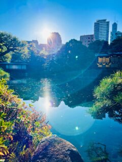 12月も中旬を過ぎましたが
寒い日があったり暖かい日があったり
気候も日々変化しています
庭園の鯉たちも、水温の低い朝は船屋形の奥の方で
かたまってジッとしています

庭園にポツポツと残る赤いモミジはいつまで見れるのでしょうか…😊

#相楽園#sorakuen#日本庭園#神戸観光#散策